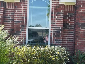 Window Installation Experts, Tomball, TX